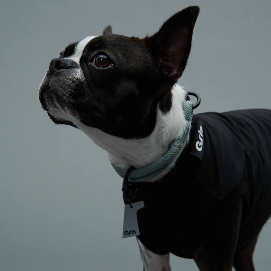 GRIS ALUMIUM CHARM GREY