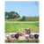 PANEL LONG TABLE