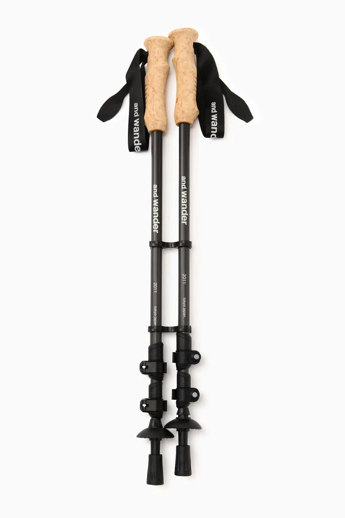 carbon trekking pole