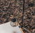 FIT HANGER