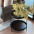フムラ　エンドテーブル　/　HUMLA end table